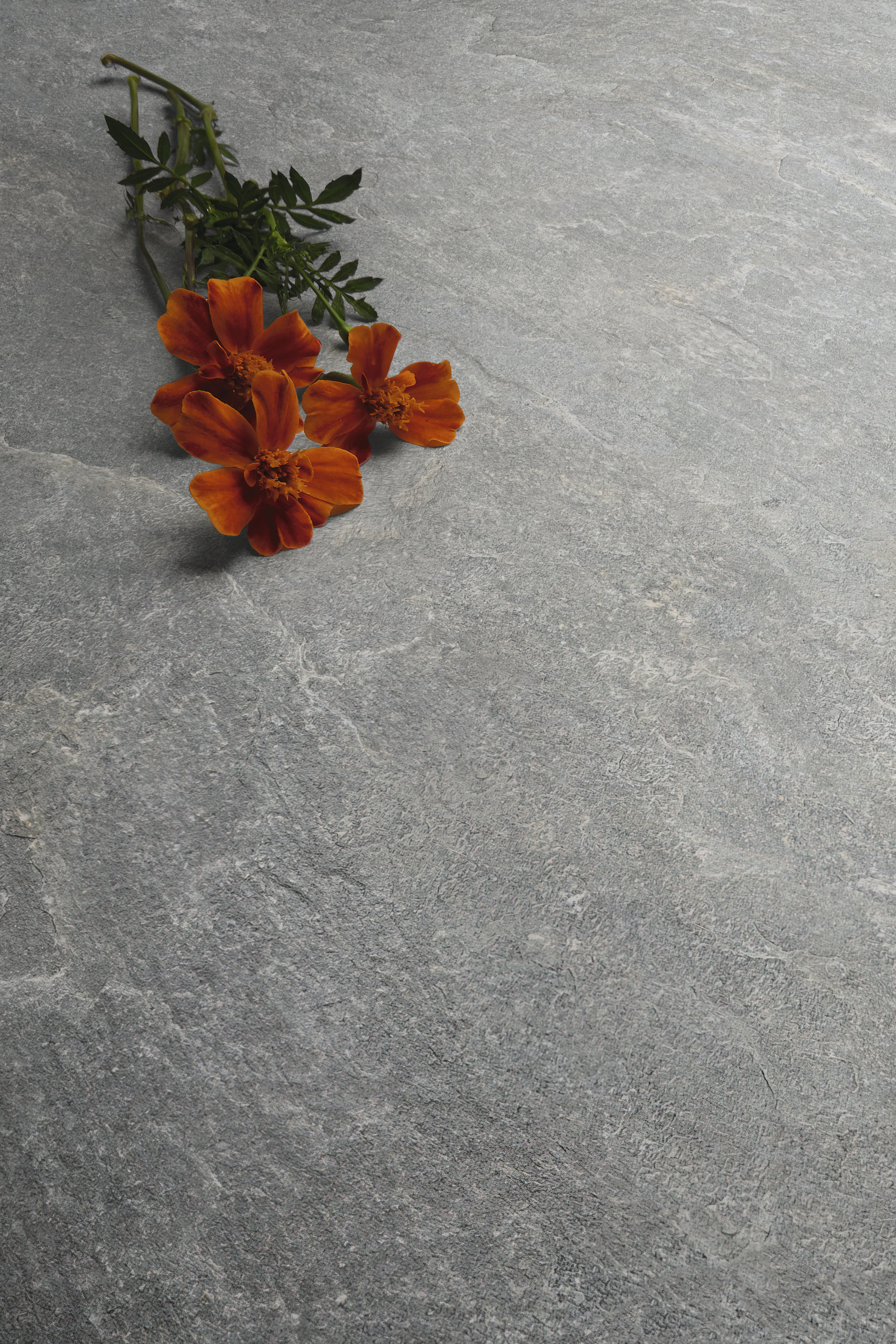 Grey tile with natural stone effect and orange blossoms.