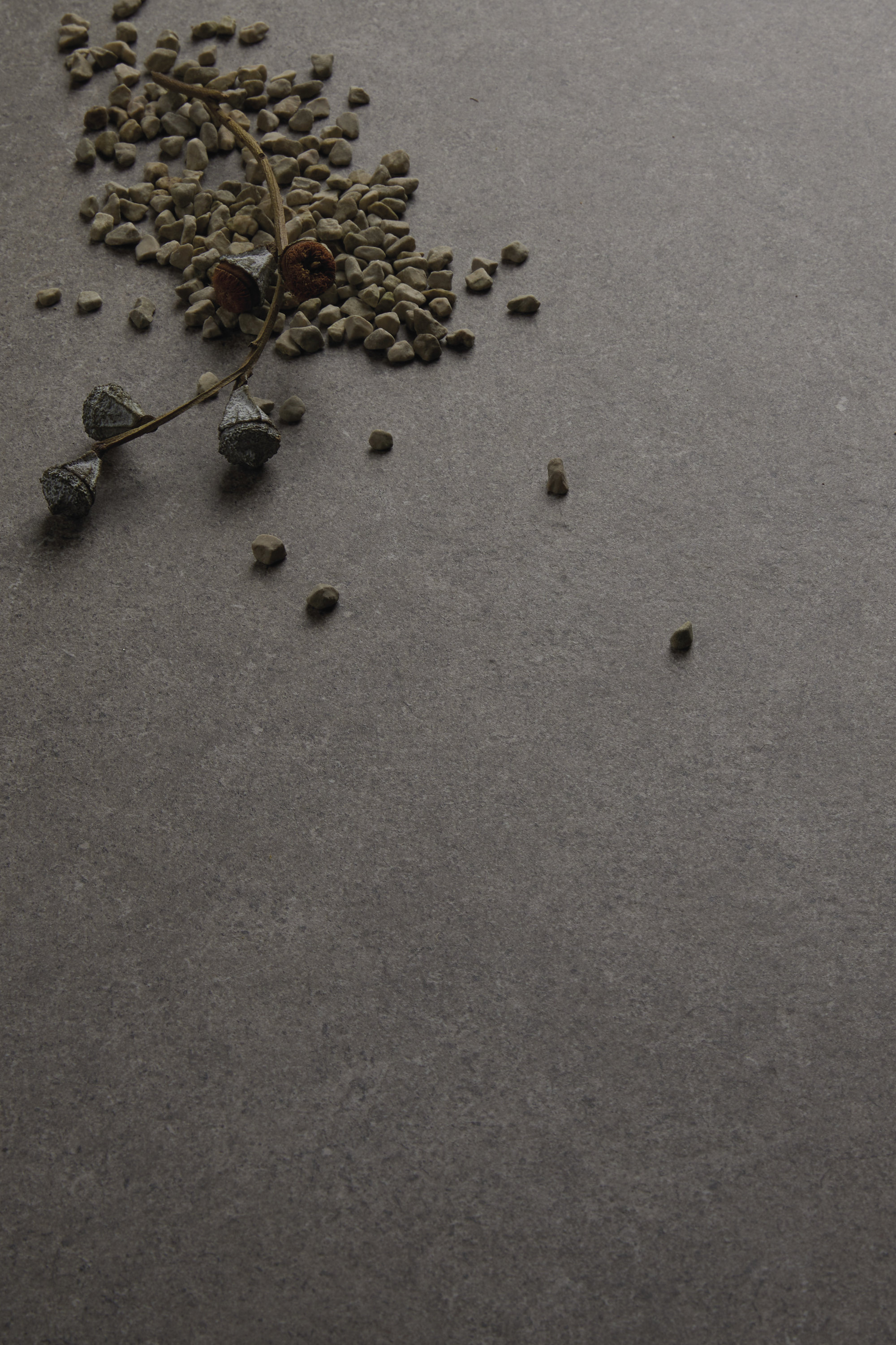 Anthracite porcelain tile with fine texture, styled with natural materials.