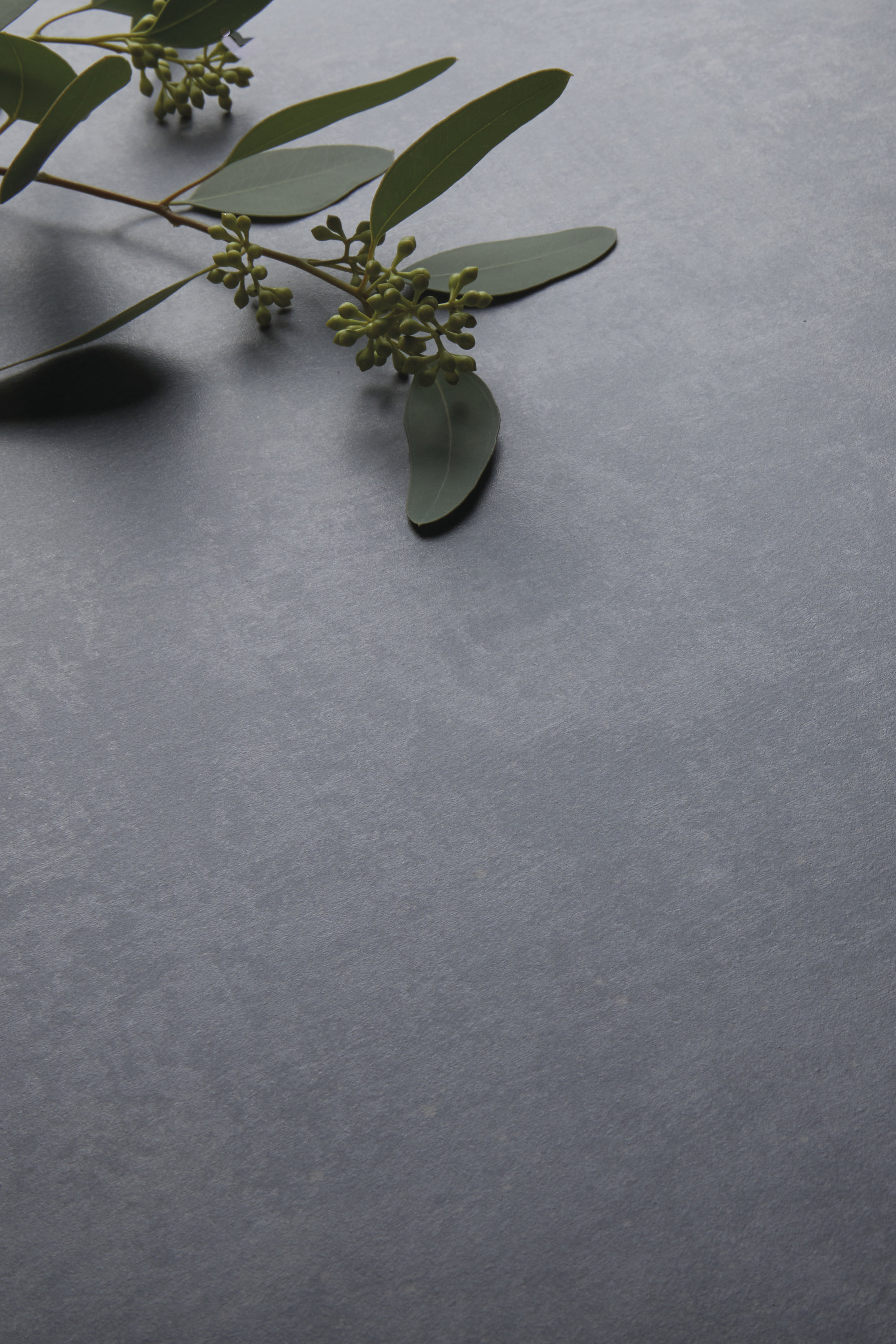 Premium dark grey natural stone effect tile with eucalyptus.