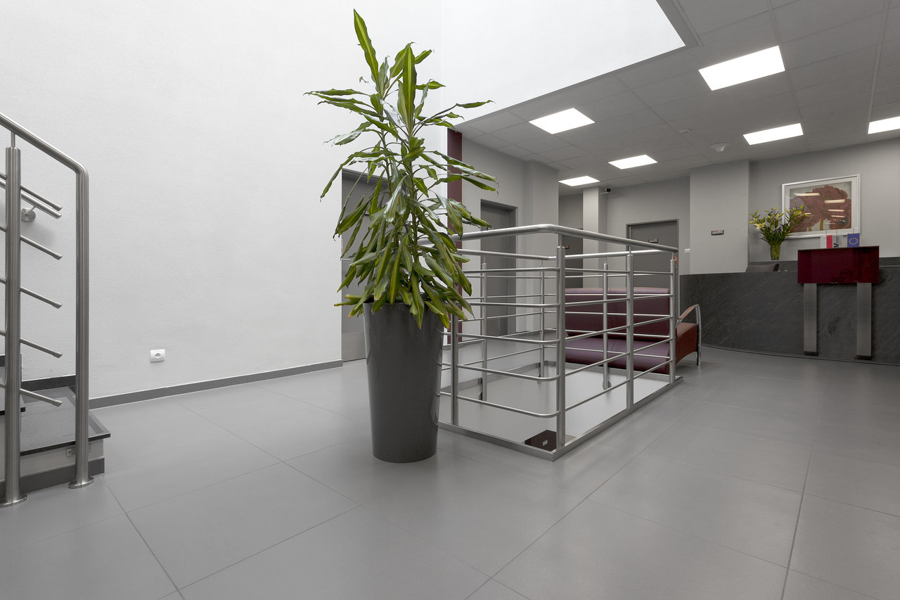 Timeless, large-format light grey tiles for modern, bright interiors.