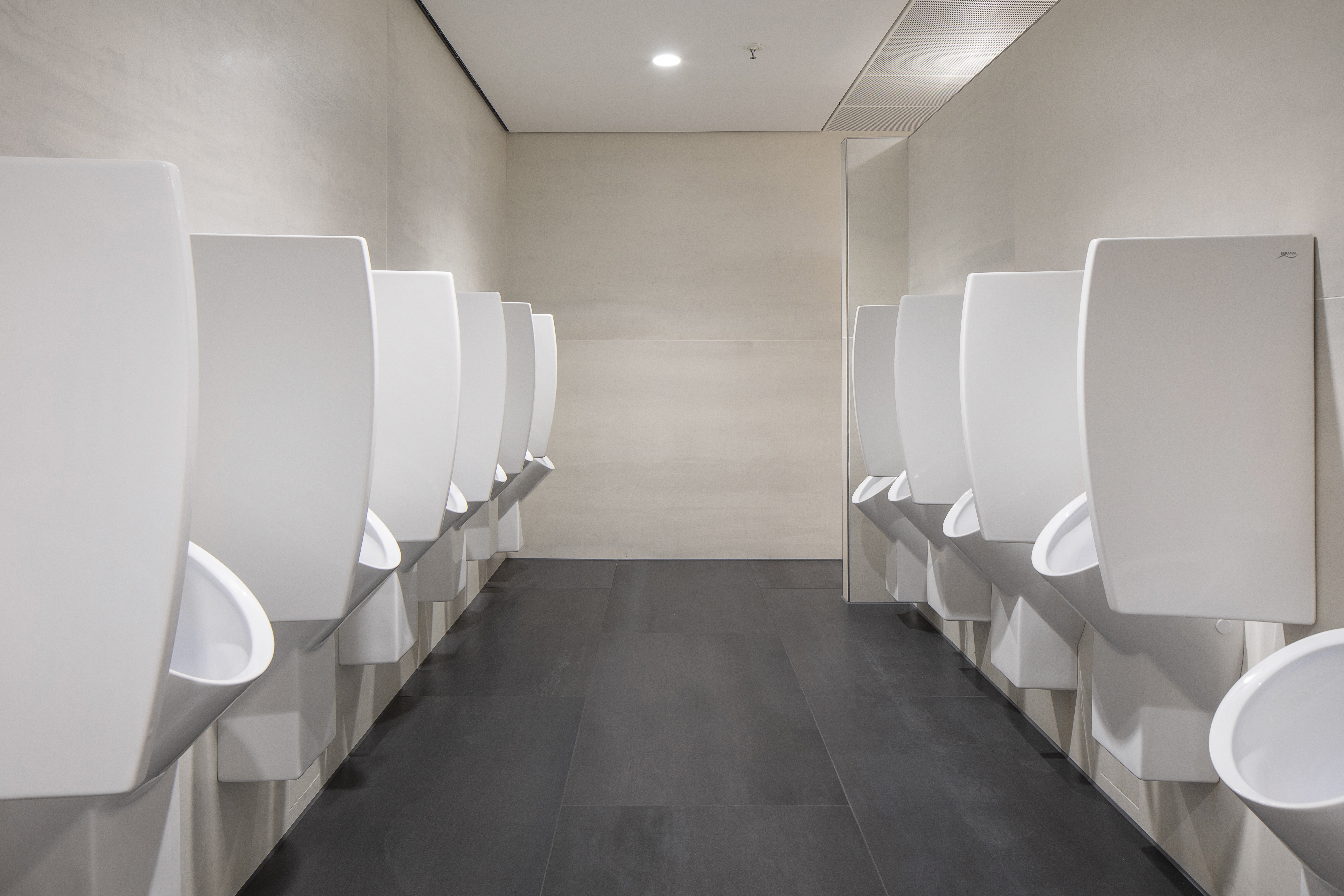 Anthracite floor tiles in a stylish washroom.