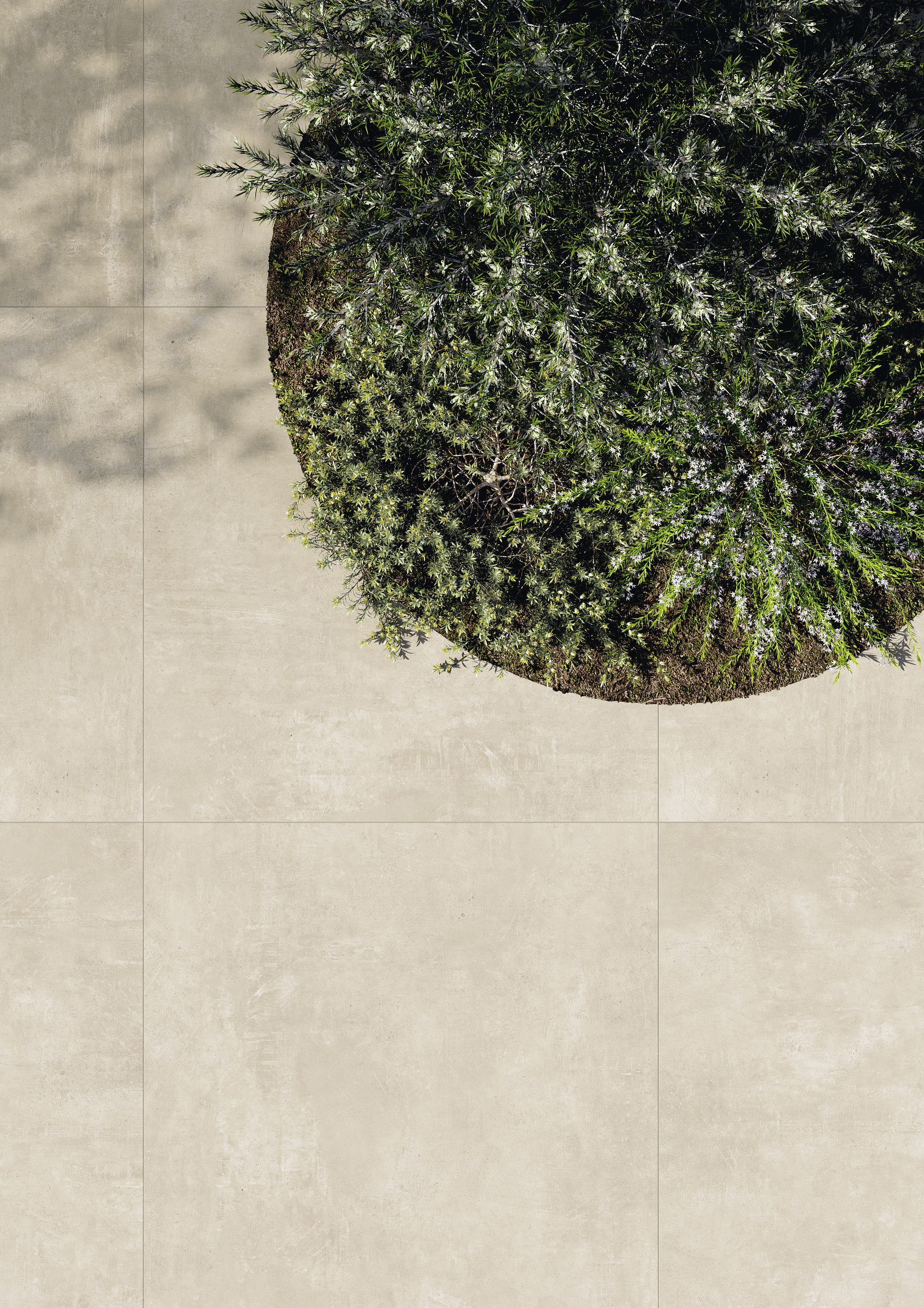 Light concrete-look outdoor tiles with greenery.