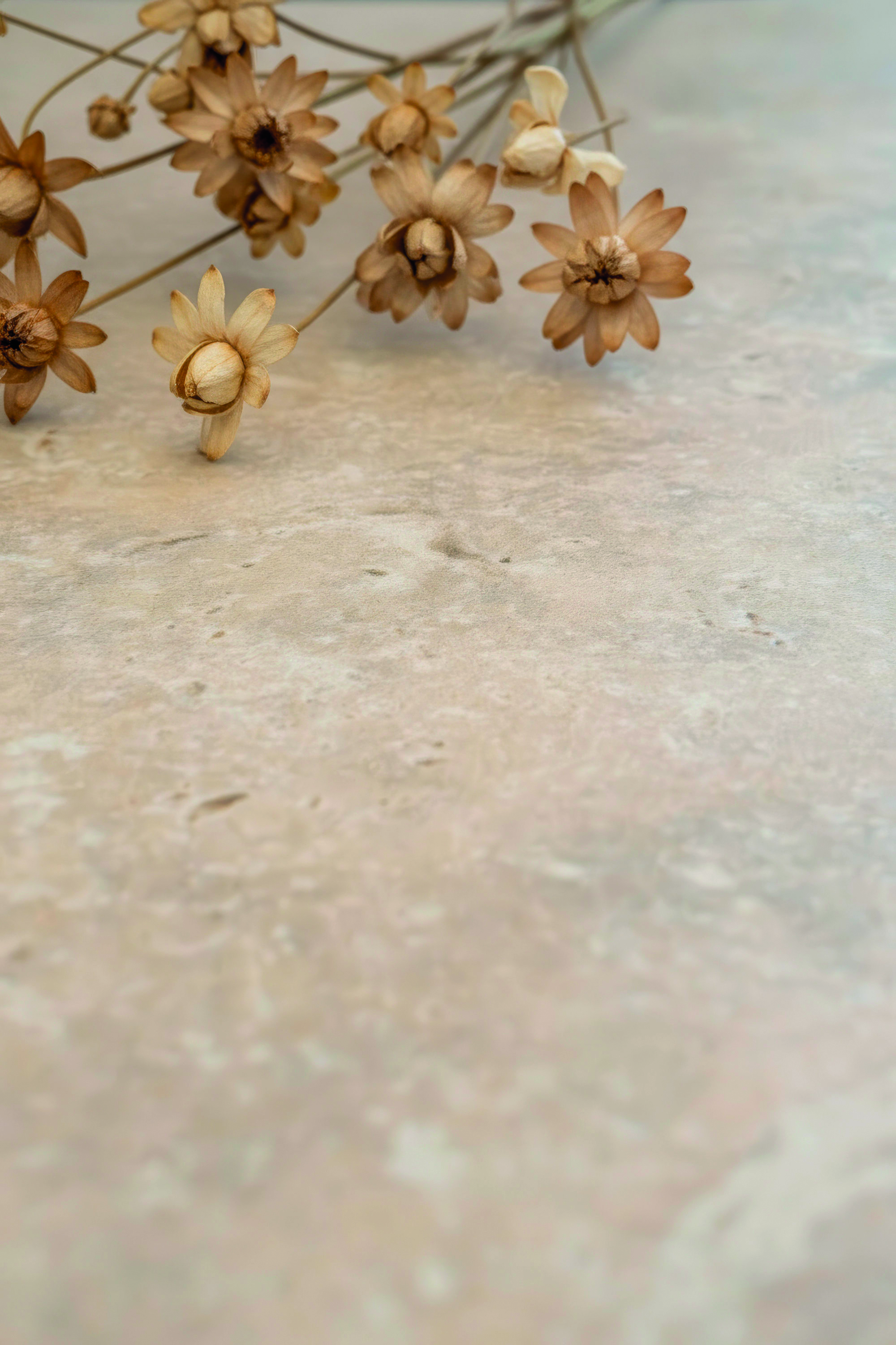 Beige natural stone effect tile, decorated with dried flowers.