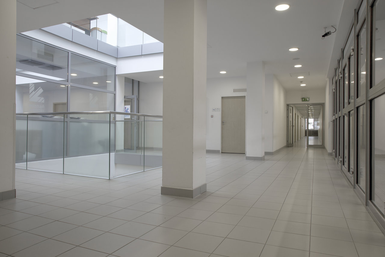 Light grey, modern floor tiles in a bright hallway with glass architecture.