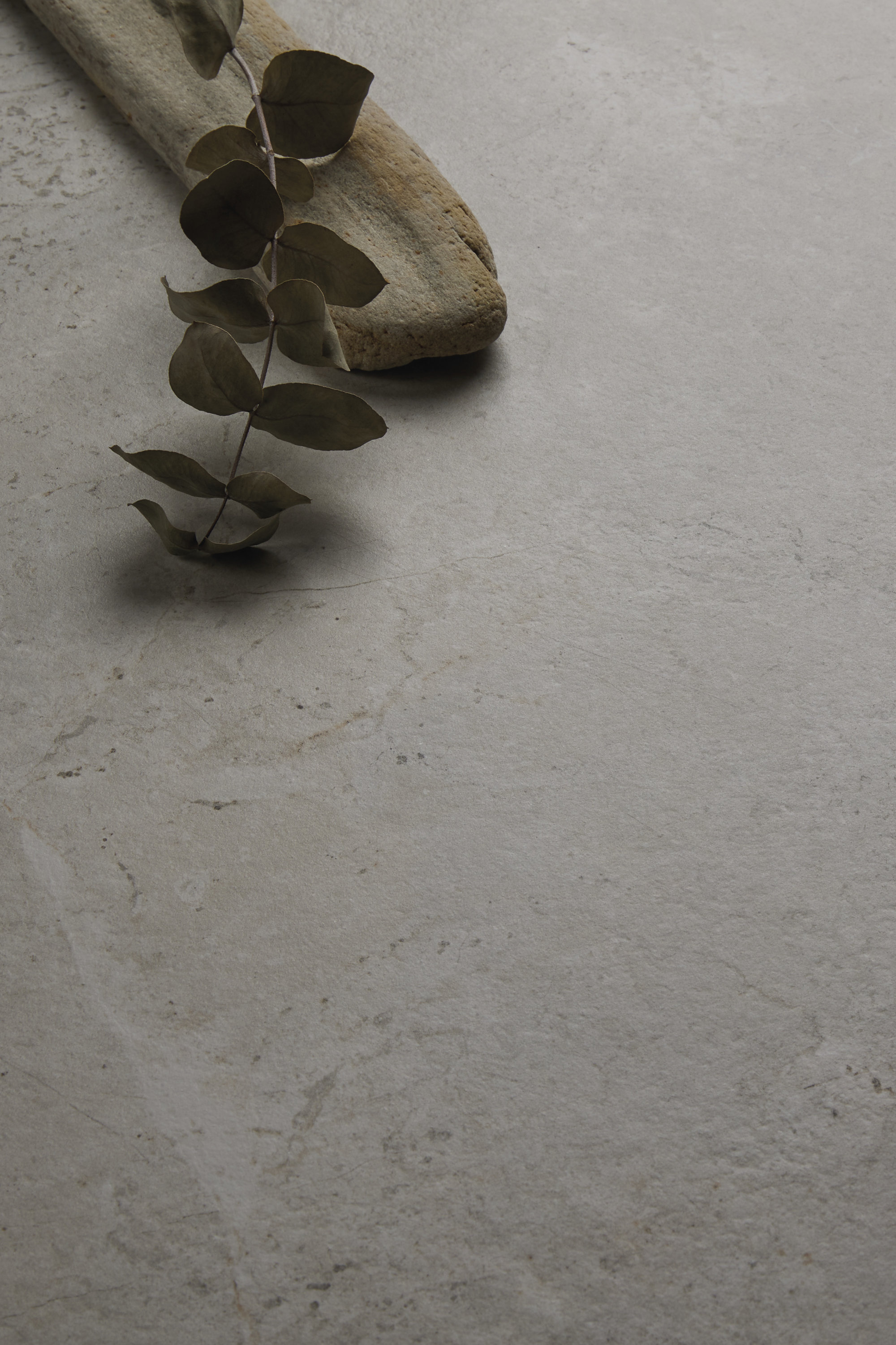 Light, textured stone-effect tile, styled with driftwood and eucalyptus.