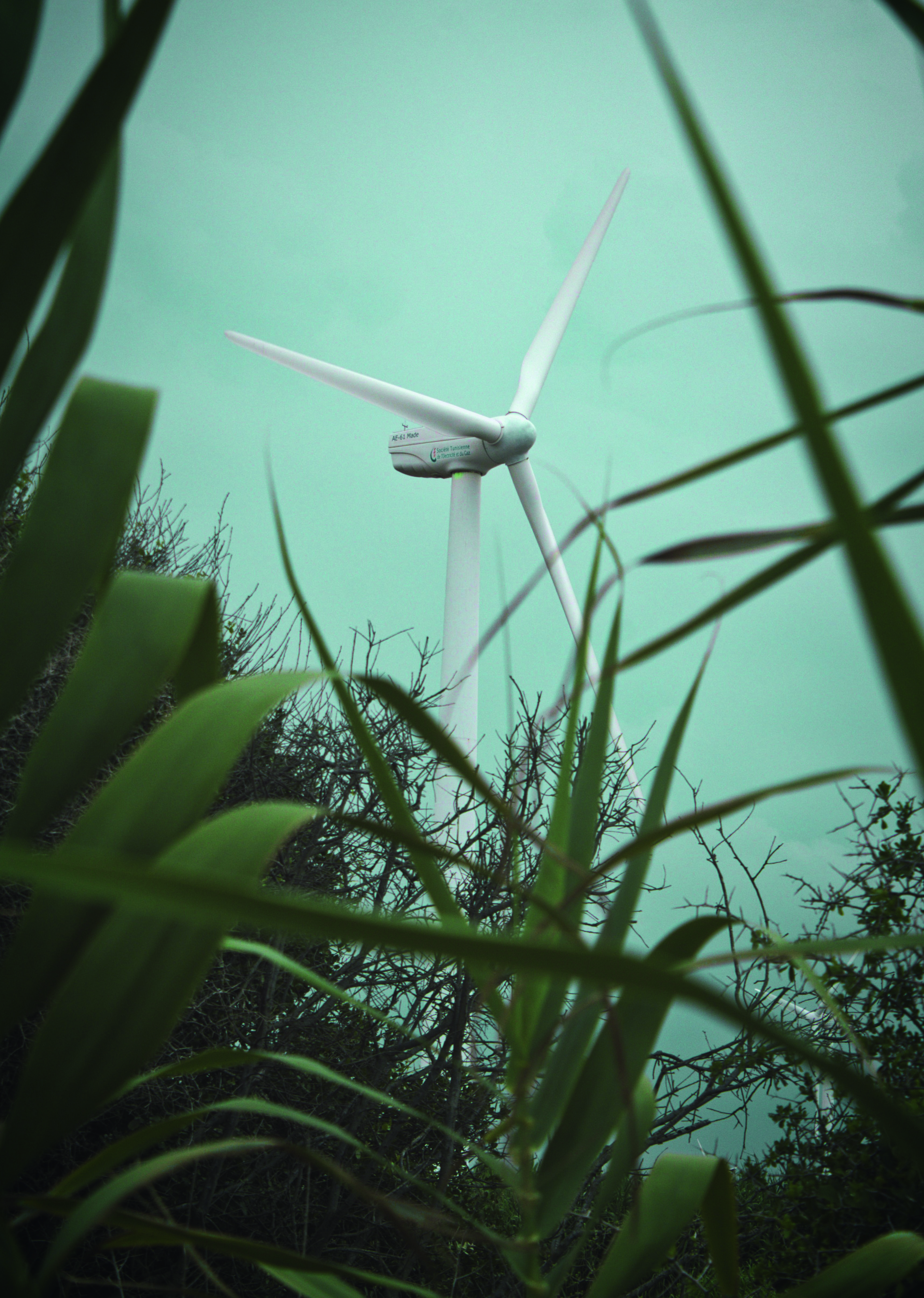 Wind turbine behind grasses against a bright, slightly cloudy sky.