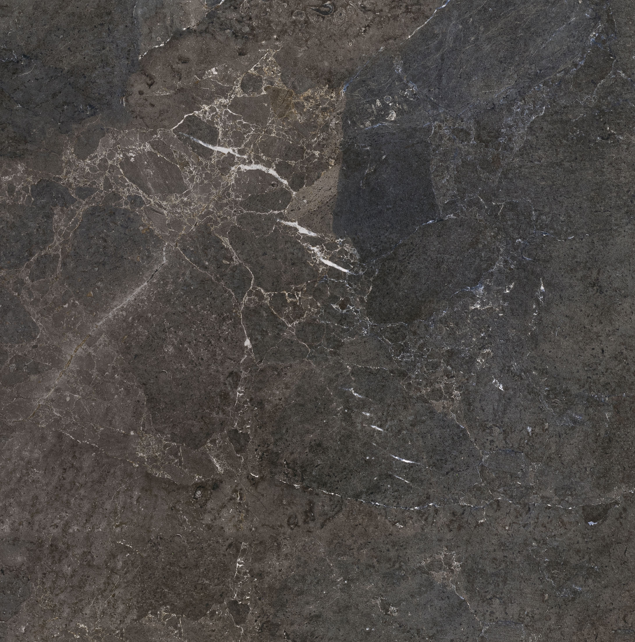 Porcelaingres Tile: Dark Stone Look.