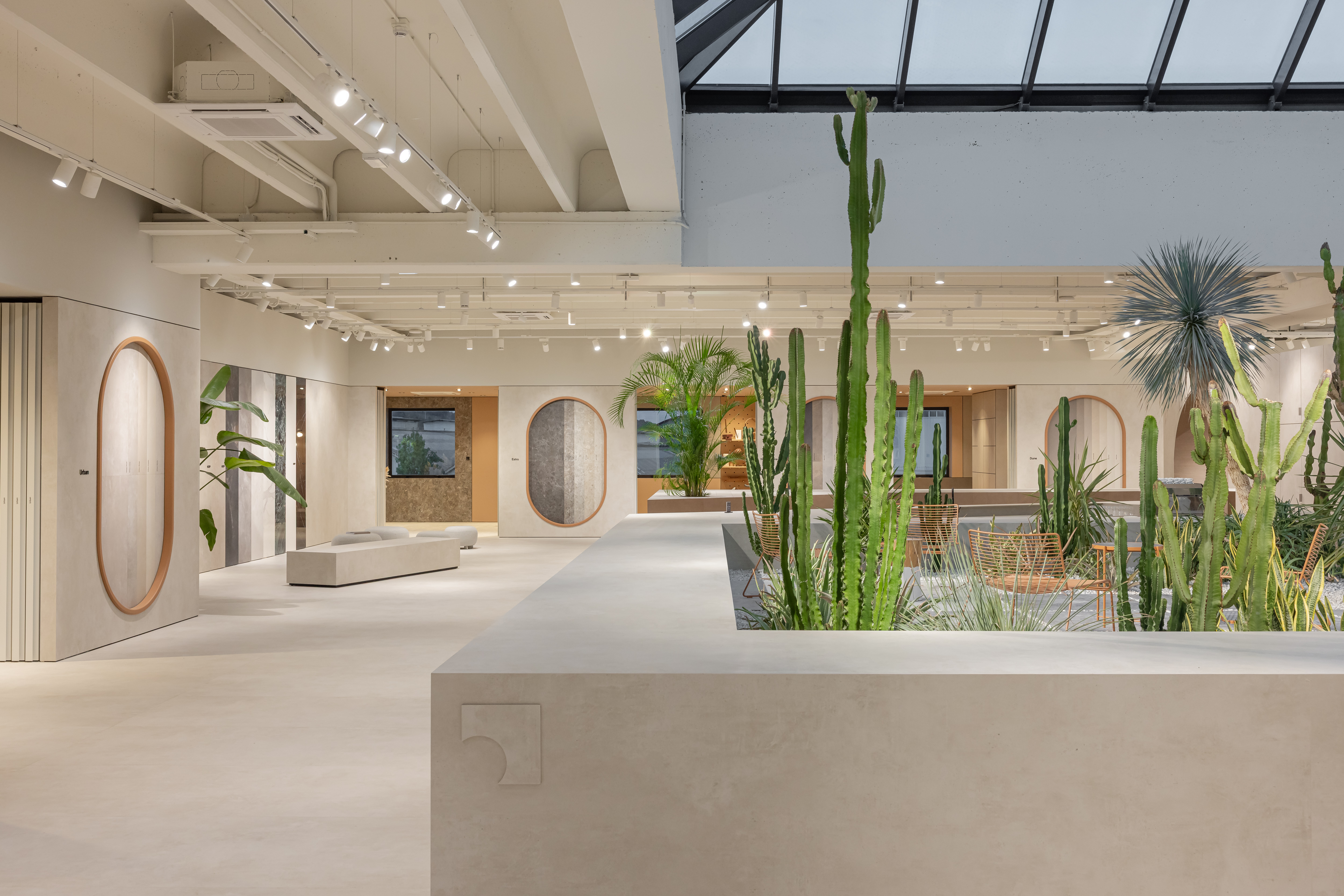 Spacious tile showroom with modern indoor and outdoor tiles and cacti.