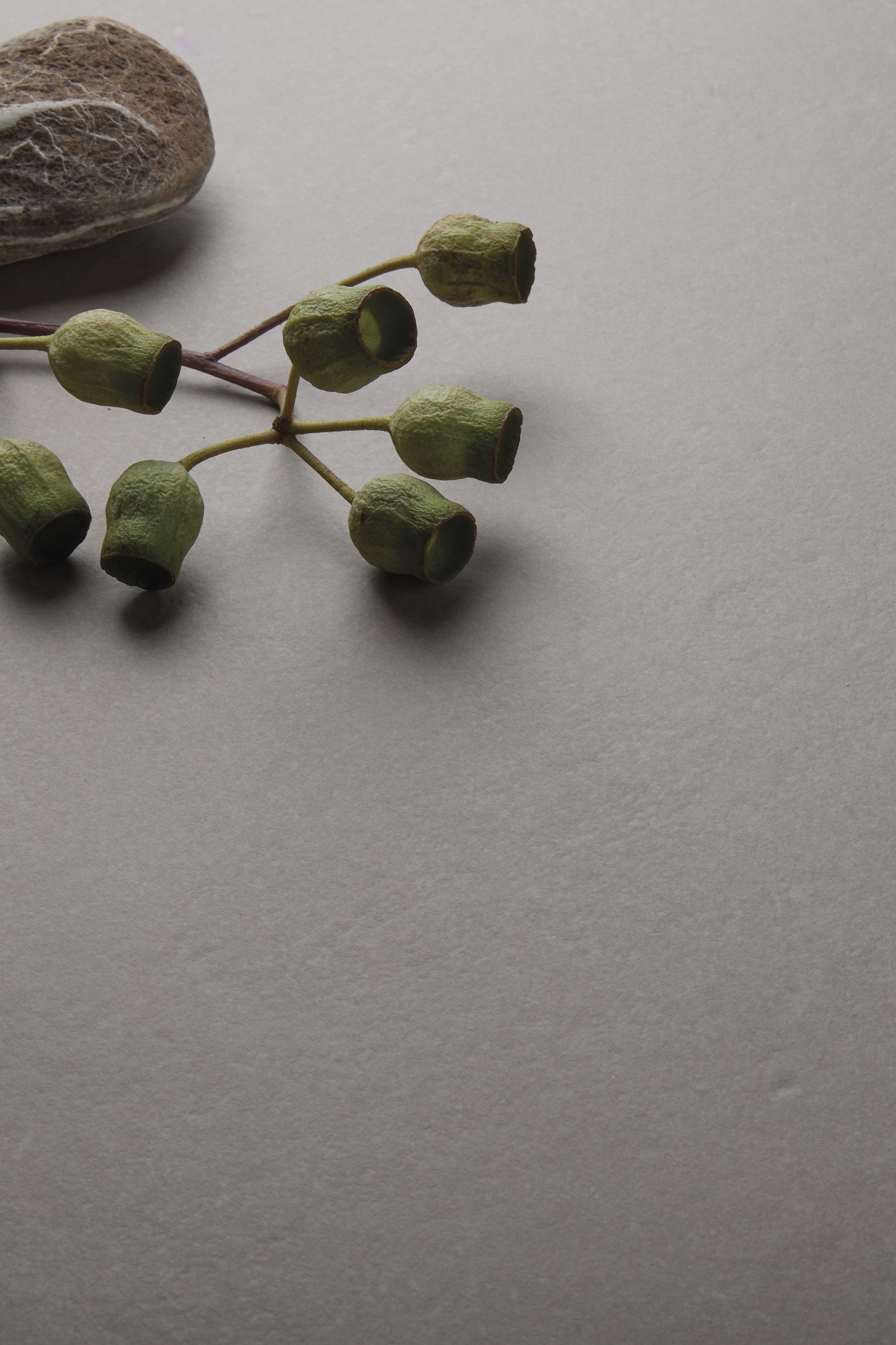 Textured grey tile with eucalyptus pods and stone.