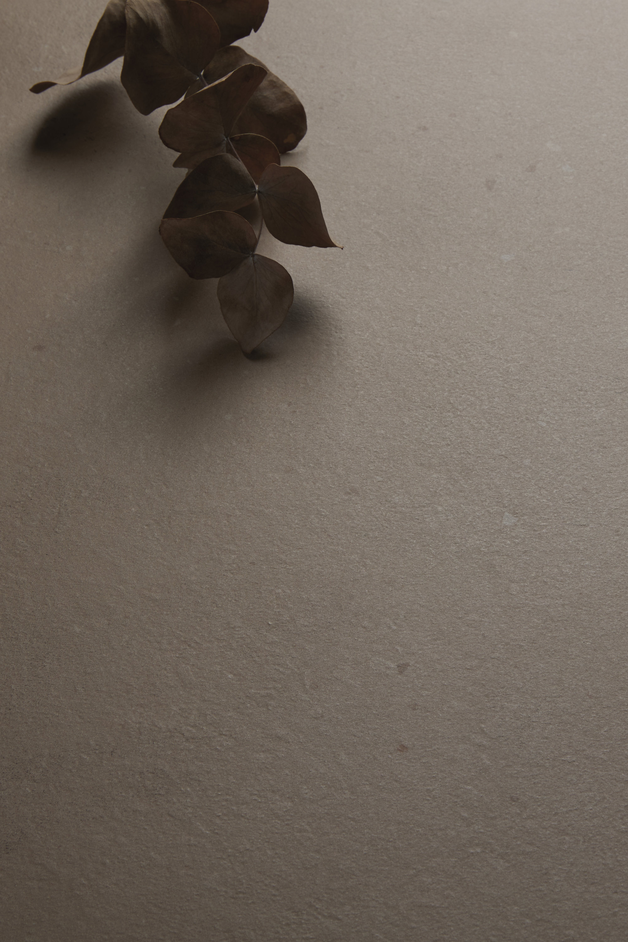 Beige tile surface with dried leaves.
