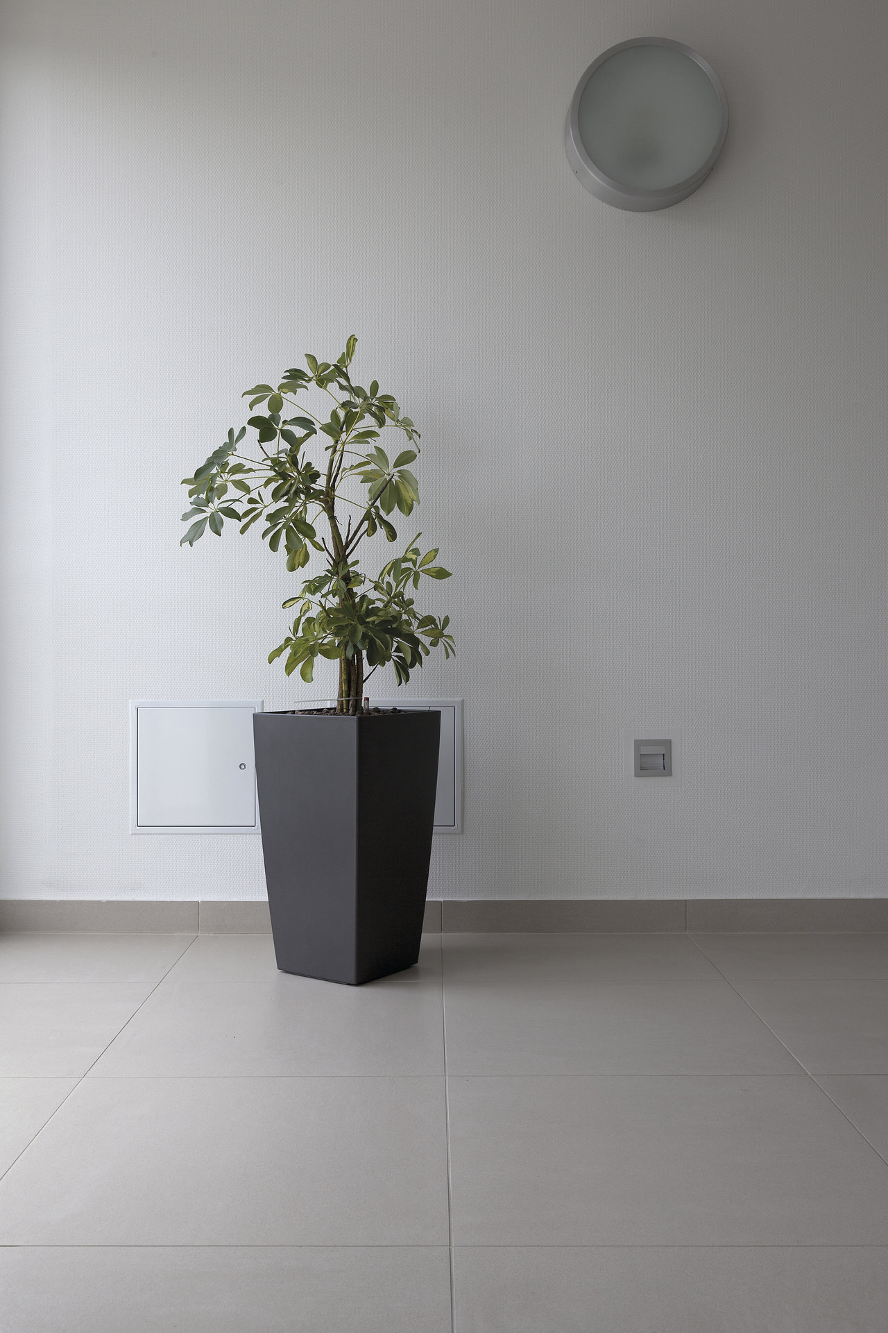 Modern, light grey floor tiles for stylish interiors.