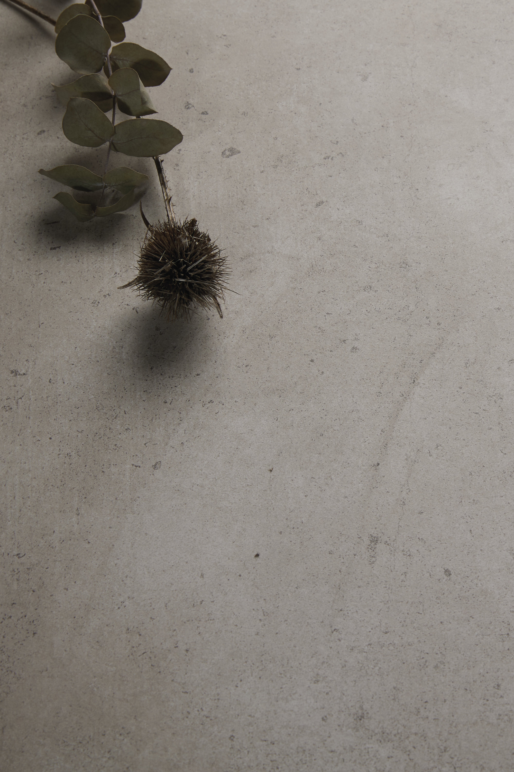 Natural branch on elegant, light grey tile with texture.