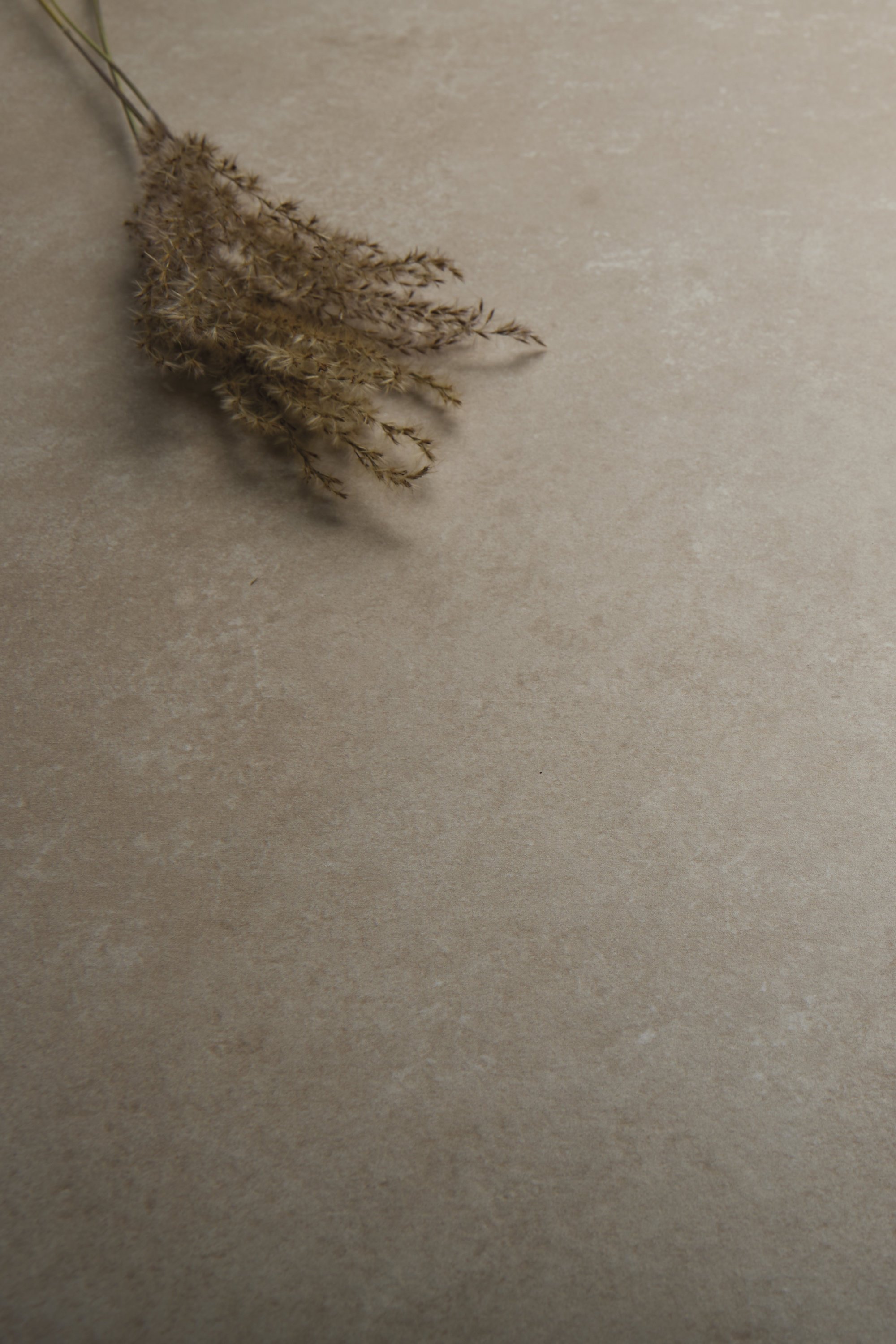 Modern greige tile with natural texture and decorative wheat motifs.
